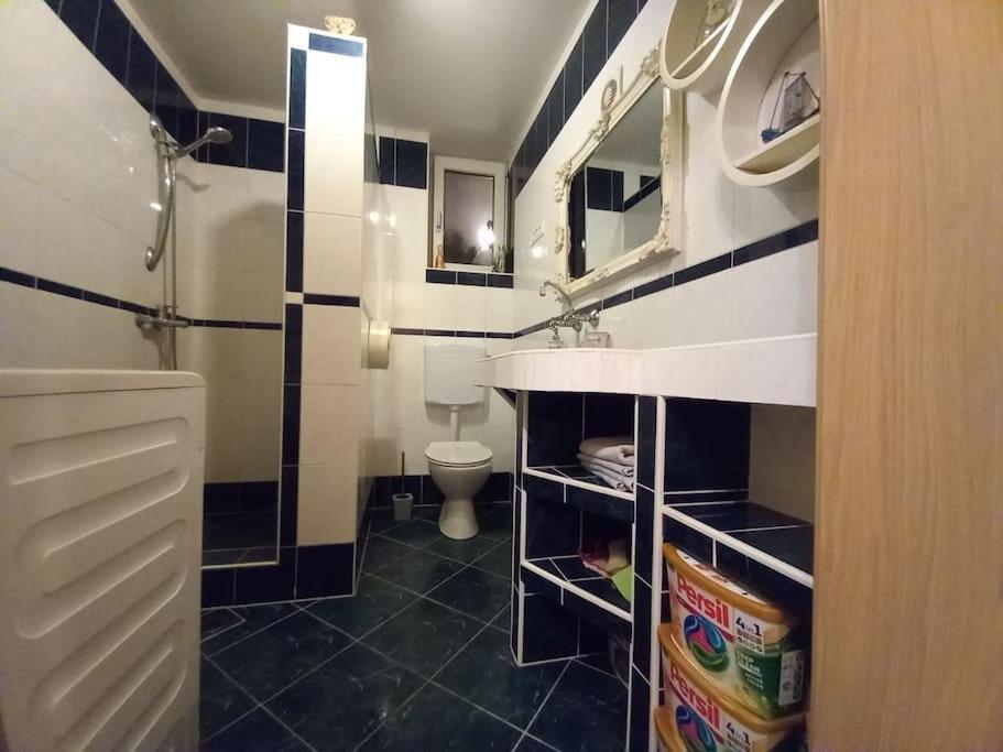 Nice Apartment Near By Capital Of Slovenia Любляна Екстериор снимка